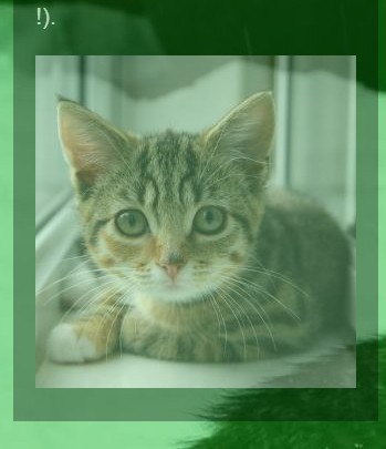 jQuery opacityOnScroll